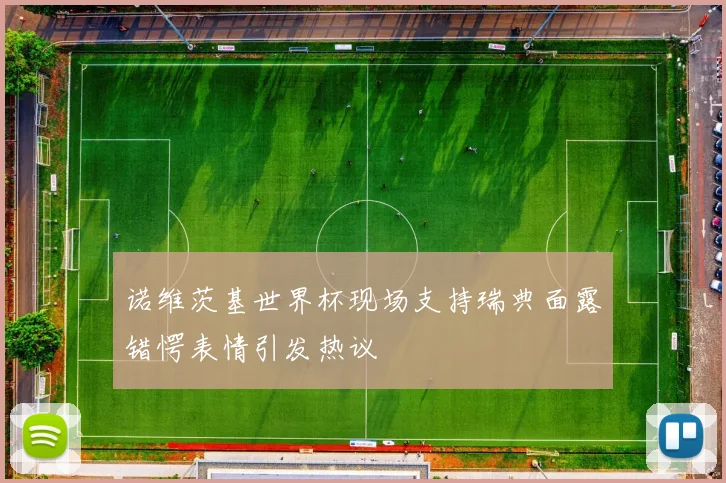 诺维茨基世界杯现场支持瑞典面露错愕表情引发热议