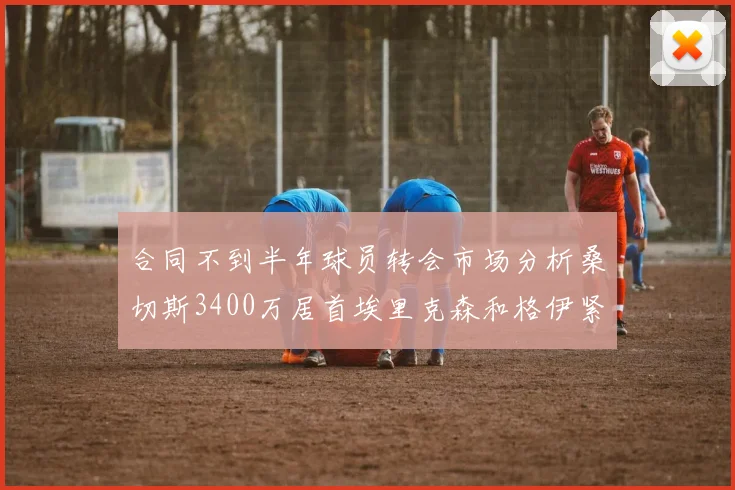 合同不到半年球员转会市场分析桑切斯3400万居首埃里克森和格伊紧随其后